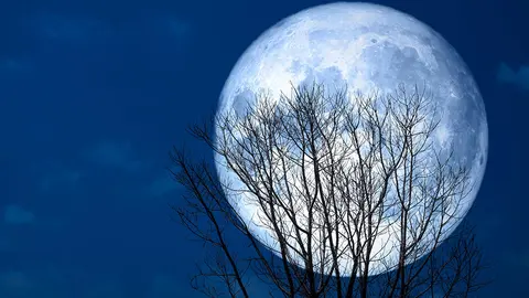 super full moon back silhouette dry tree in the night sky, Elements of this image furnished by NASA
Getty images