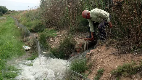 El productor Albert Capdevila aixeca la pala de reg en una finca de pomeres que té a Puiggròs, a les Garrigues

Data de publicació: dijous 06 de juliol del 2023, 13:48

Localització: Puiggròs

Autor: Anna Berga