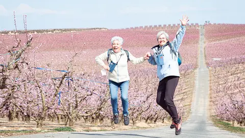 Aitona ja ha estat escenari de pel·lícules, com "Segon Origen", de Bigas Luna i Carles Porta i "Alcarràs" de Carla Simón - Foto: Jordi VInuesa