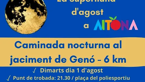 CARTELL WEBOK AITONA