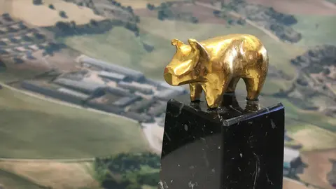 El guardó del Porc d'Or que convoca l'IRTA - Foto: IRTA