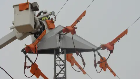 Prototip per evitar que cigonyes facin el niu en torres elèctriques - Foto: Cedida per Endesa
