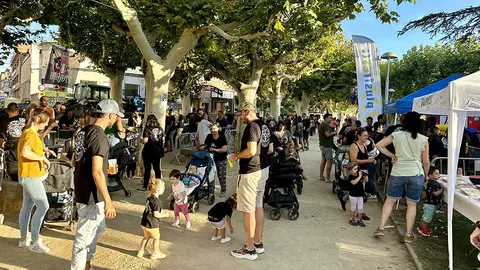 Actes previs a la Festa Major de les Borges 2023