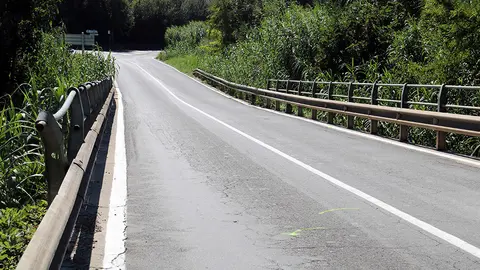 Marques a l'asfalt de la carretera C-230a al punt quilomètric 9 al seu pas per Sudanell (Segrià) - Foto: Alba Mor