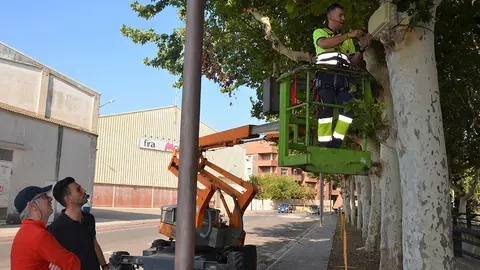 Instal·lació d'altaveus per dissuadir estornells l'avinguda del Canal de Mollerussa - Foto: Cedida per l'Ajuntament de Mollerussa