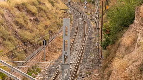 Vies del tren a l'alçada de Tàrrega - Foto: Jordi Vinuesa