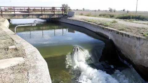 El canal d'Urgell amb aigua circulant entre Vilanova de Bellpuig i Arbeca - Foto: Oriol Bosch