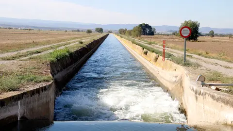 El canal d'Urgell amb aigua circulant entre Vilanova de Bellpuig i Arbeca - Foto:  Oriol Bosch