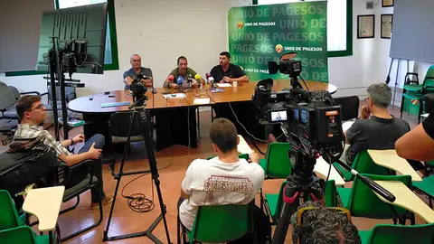 Unió de Pagesos calcula que la sequera ha afectat entre el 60% i el 90% a la collita d'oliva - Foto: Unió de Pagesos