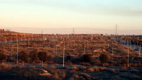 La zona de Torre Salses de Lleida on Eurofund i Frey projecten construir un parc comercial i d'oci - Foto: Salvador Miret