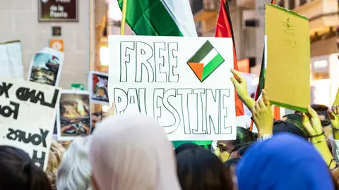 Manifestació en solidaritat al poble palestí a Lleida - Foto: Jordi Vinuesa