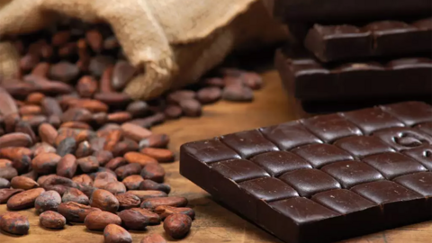 xocolata Jolonch Vicens
