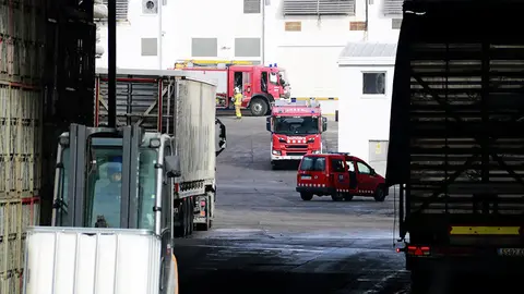 Camions de Bombers dins l'empresa bonÀrea on hi ha hagut un incendi per una fuita d'amoníac
Data de publicació: divendres 29 de desembre del 2023, 11:47
Localització: Guissona
Autor: Anna Berga
