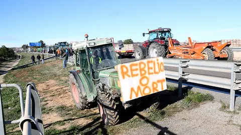Un tractor que participa al tall a l'AP-2 a Soses
Data de publicació: dimarts 27 de febrer del 2024, 10:15
Localització: Alcarràs/Soses
Autor: Ignasi Gómez