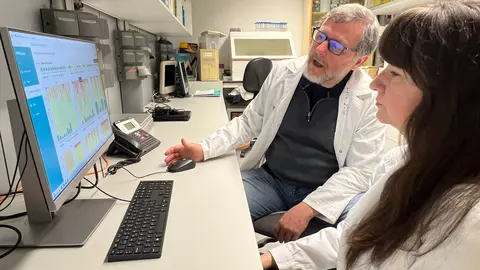 Els investigadors de la UdL i l'IRBLleida, Joan Fibla i Marina Laplana, treballant a l'ordinador amb l'aplicació GenPIR - Foto: Oriol Bosch