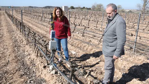 Xoán Elorduy i una tècnica de l'INCAVI observen una de les vinyes que s'han regat fent servir el seu sistema - Foto: Ignasi Gómez