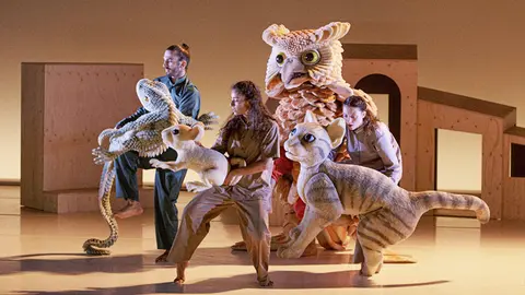 foto_la gata que volia canviar la historia