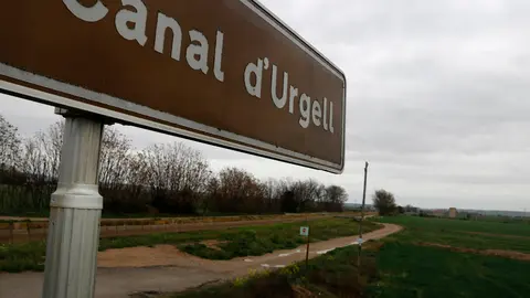 El canal d'Urgell al seu pas per Anglesola - Foto: Oriol Bosch