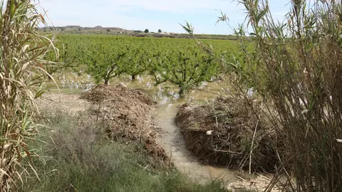 Els pagesos han fet canalitzacions per desguassar l'aigua dels camps - Foto: Ignasi Gómez