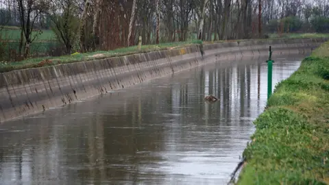 El canal d'Urgell al seu pas per Anglesola - Foto: Oriol Bosch