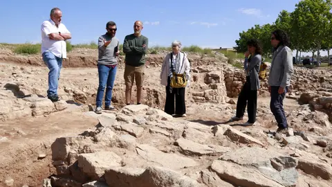 Les excavacions del Molí d'Espígol. Foto: ACN