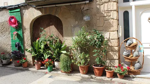 Garrigues en flor - Foto: Consell Comarcal de les Garrigues