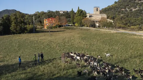 Una formatgeria a Lluçà. Foto: Associació d'Iniciatives Rurals i Marítimes de Catalunya