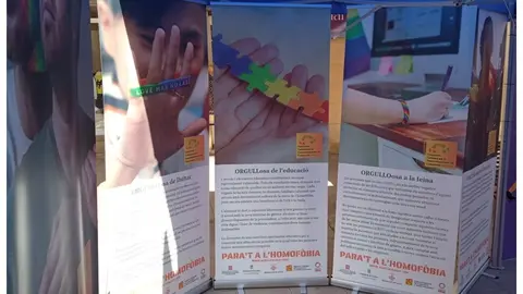 Imatge de les carpes itinerants que van ser a les Borges Blanques. Foto: Grup Cultural  Garrigues