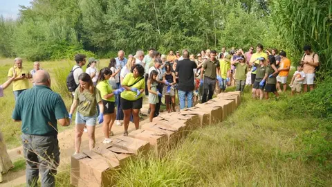 Moment de l'alliiberament de les cigonyes als aiguamolls de Rufea
