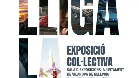 La Fecoll exposa les millors vinyetes del XVI Concurs d’Humor Gràfic Caragoler (3)
