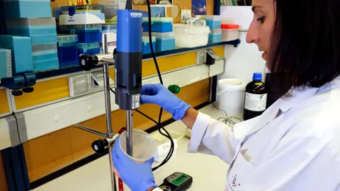 La investigadora de la UdL Lauras Ribó treballant amb suc de poma de polpa vermella | ACN