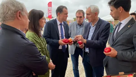 Òscar Ordeig agafant una poma de la varietat Stellar. Foto: ACN