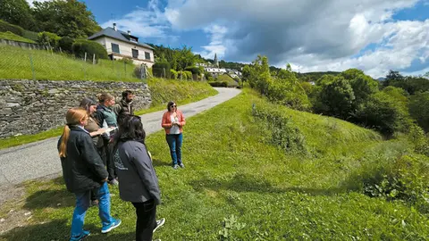 Pirineu - DESBOSSIGUEM_Foto_Cedida
