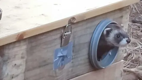 Un dels turons alliberats a Raimat. Foto: ACN