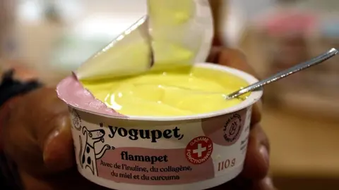 Un yogupet, el iogurt per a mascotes. Foto: ACN