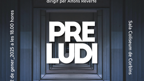 Cartell de l'esdeveniment. Foto: IEI