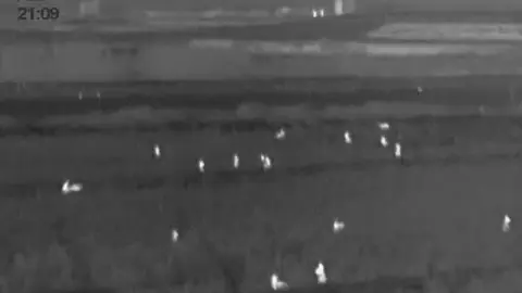 579ea883-f9ba-42bb-8621-d73c25efd148