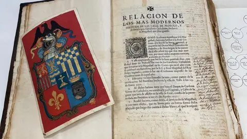 Llibre de l'arxiu. Foto: Diputació de Lleida