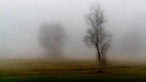 Imatge d'un camp envoltat de boira.  Foto: Freepick