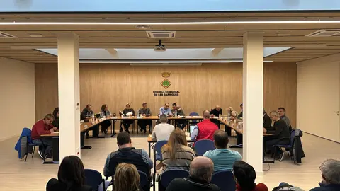 Ple del Consell Comarcal de les Garrigues. Foto: Consell Comarcal de les Garrigues