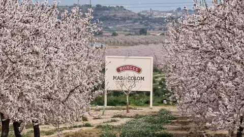 Floració_MdC_1