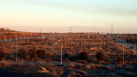 La zona de Torre Salses de Lleida on Eurofund i Frey projecten construir un parc comercial i d'oci. Foto: ACN