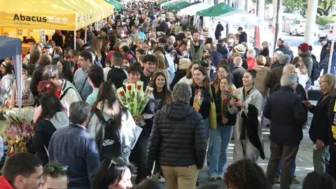 Aspecte de l'avinguda Francesc Macià i la Rambla de Ferran de Lleida durant Sant Jordi. Foto: ACN
