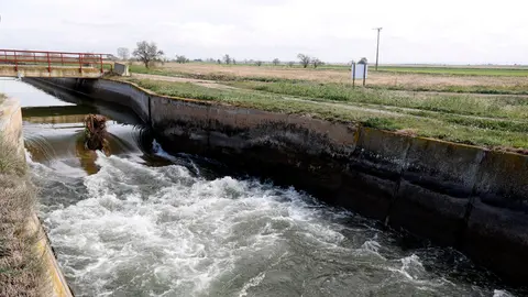 Aigua baixant pel canal d'Urgell