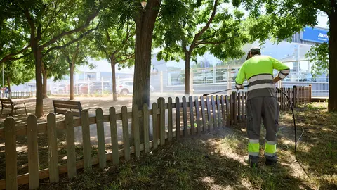 Neteja del parc de gossos de Cappont