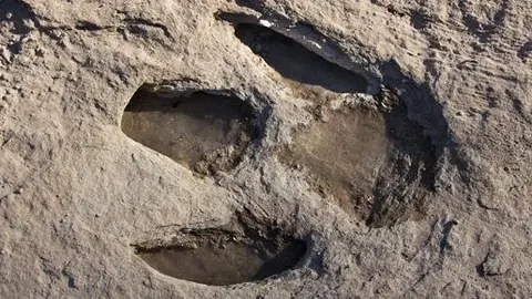 Un petjada de dinosaure a Pallars Jussà