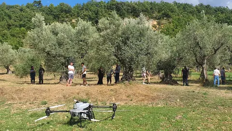 Jornada de demostració a una plantació d'oliveres de Gavet de la Conca d'aplicar tractaments aeris amb dron a les plantacions d'oliveres.