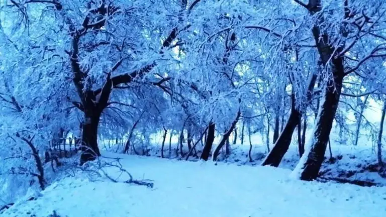 La Banqueta de Juneda nevada