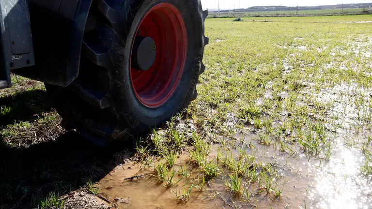Un camp negat d'aigua a Bell-lloc. Foto: ACN