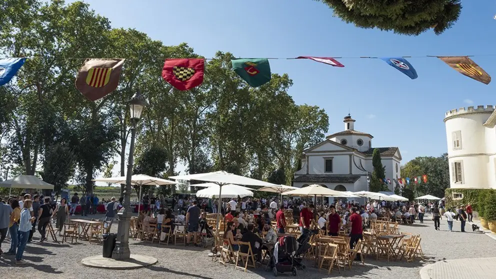 Festa Major del Castell del Remei ©JosepAPérez